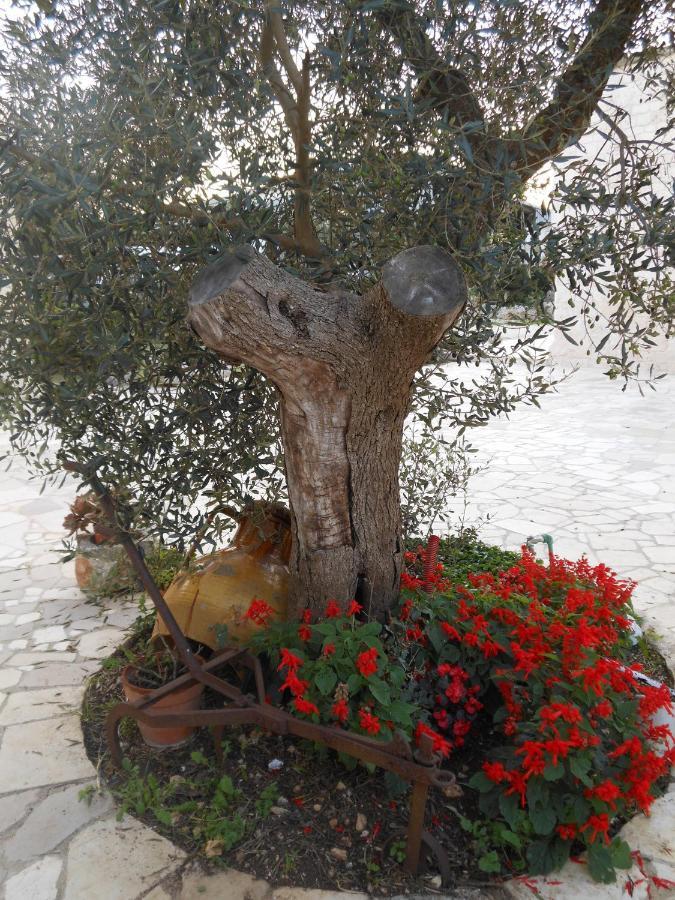 Agli Antichi Trulli Bed & Breakfast Alberobello Exterior photo